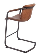 Isla Brown Counter Stool